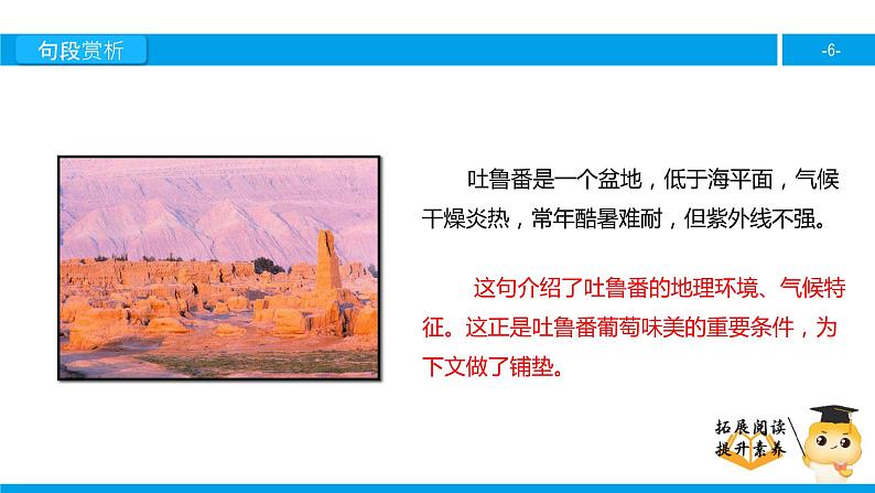 五年级【专项训练】课外阅读：吐鲁番的葡萄沟（下）课件PPT第6页