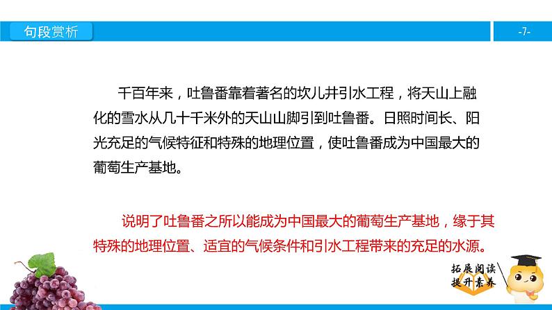 五年级【专项训练】课外阅读：吐鲁番的葡萄沟（下）课件PPT第7页