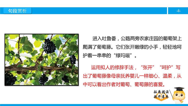五年级【专项训练】课外阅读：吐鲁番的葡萄沟（下）课件PPT第8页