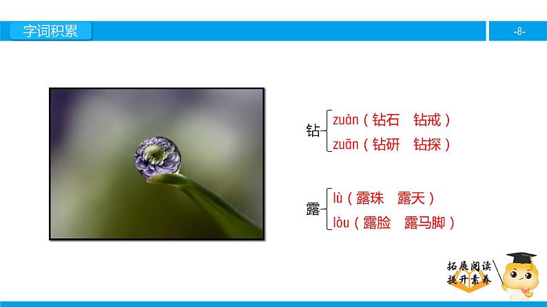 三年级【专项训练】课外阅读：小露珠（上）课件PPT08