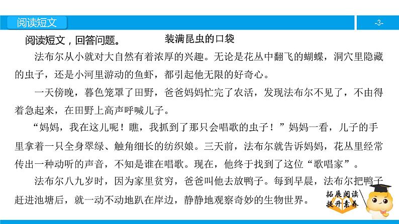 三年级【专项训练】课外阅读：装满昆虫的口袋（下）课件PPT03