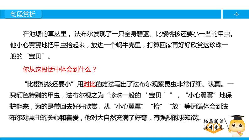 三年级【专项训练】课外阅读：装满昆虫的口袋（下）课件PPT08