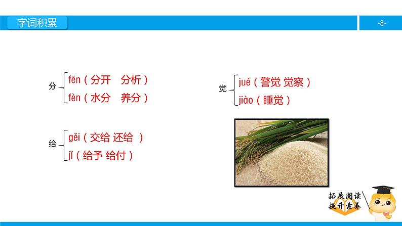 三年级【专项训练】课外阅读：小稻秧脱险记（上）课件PPT08