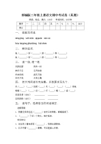 部编版三年级上册语文期中考试卷（真题）