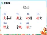 28. 海的女儿 课件（送教案+练习含答案）