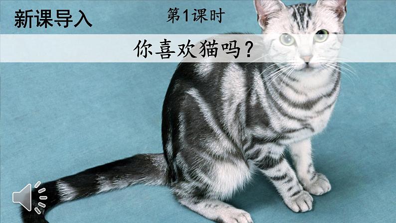 部编版语文四年级下册《13 猫》课件（送教案+练习含答案）03