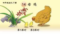 小学语文人教部编版四年级下册14 母鸡优秀课件ppt