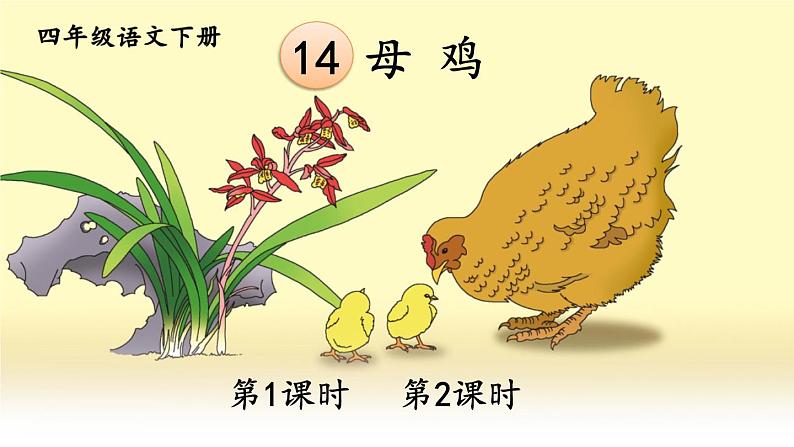 部编版语文四年级下册《14 母鸡》课件（送教案+练习含答案）01