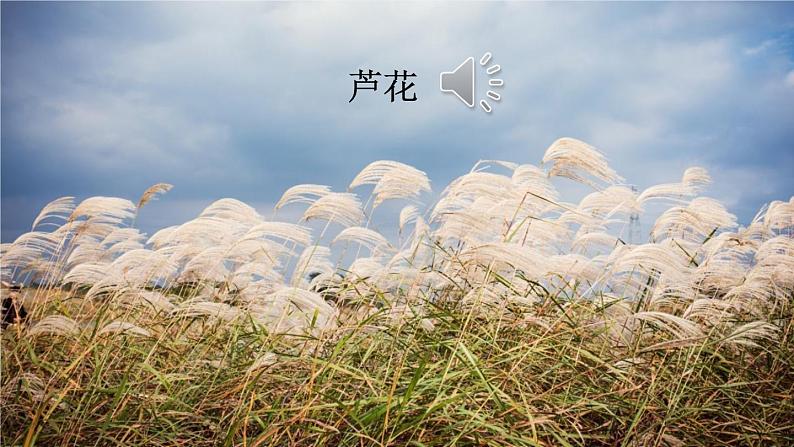 部编版语文四年级下册《21 芦花鞋》课件（送教案+练习含答案）03