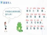 人教部编版语文一上《青蛙写诗》 课件PPT+教案+练习