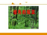 二年级下册 课件 第23课 祖先的摇篮 小学语文人教部编版（2022年）