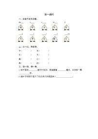 小学语文课文 310 端午粽第一课时练习