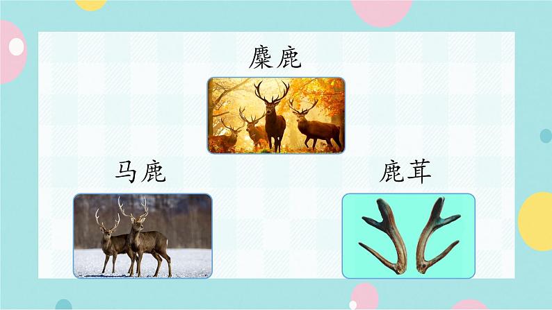 20《咕咚》课件+教案+素材+练习07