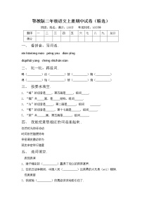 鄂教版二年级语文上册期中试卷（精选）