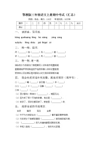 鄂教版三年级语文上册期中考试（汇总）练习题