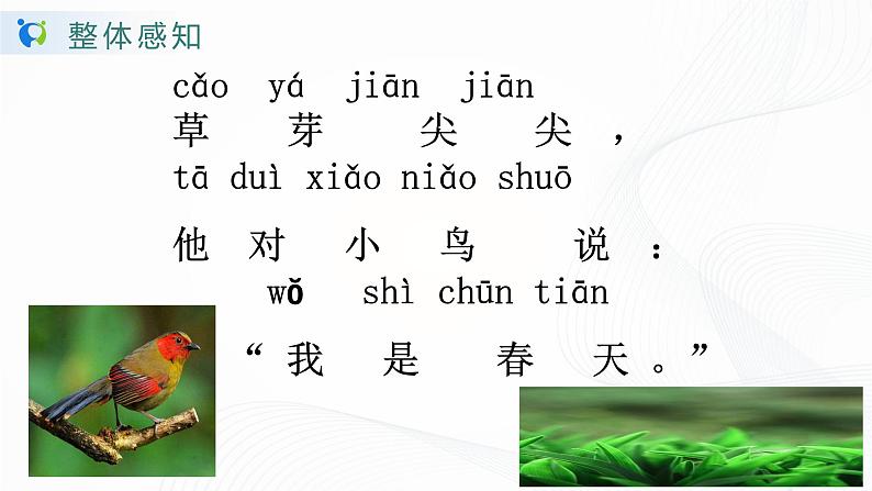 人教部编版语文一上《四季》 课件PPT+教案+练习08