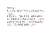 小岛PPT课件免费下载