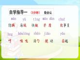 小岛PPT课件免费下载