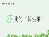 我的“长生果”PPT课件免费下载
