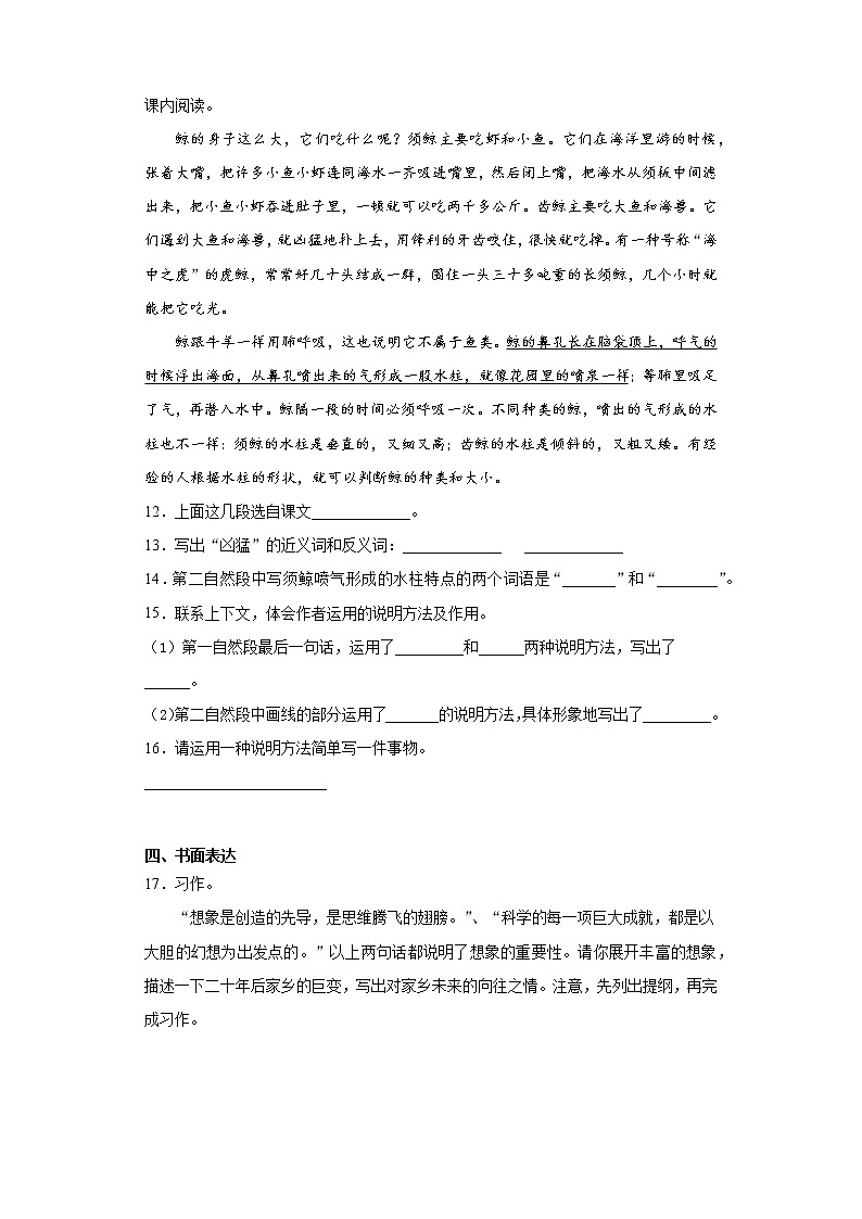 寒假作业——部编版语文五年级上册作业（七）（含答案）第3页