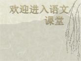 部编版六年级上册语文课件-第11课：故宫博物院｜-部编版--(共31张PPT)