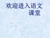 部编版六年级上册语文课件-第11课：故宫博物院｜-部编版--(共45张PPT)