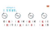 部编版二年级上册语文习题课件-识字2-树之歌-人教共8张PPT) (1)