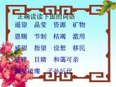 部编版六年级上册语文课件-第18课-只有一个地球-｜部编版-(共39张PPT)-(1)