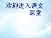 小学语文19 只有一个地球课堂教学ppt课件