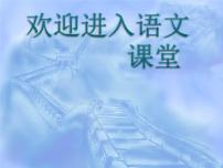 人教部编版六年级上册19 只有一个地球集体备课ppt课件