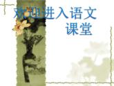 部编版六年级上册语文课件第18课-只有一个地球｜部编版-(共39张PPT)