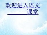 部编版六年级上册语文课件第18课-只有一个地球-｜部编版--(共38张PPT)