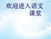 部编版六年级上册语文课件-第18课-只有一个地球｜部编版--(共21张PPT)