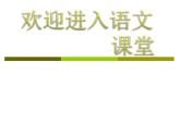 我的伯父鲁迅先PPT课件免费下载