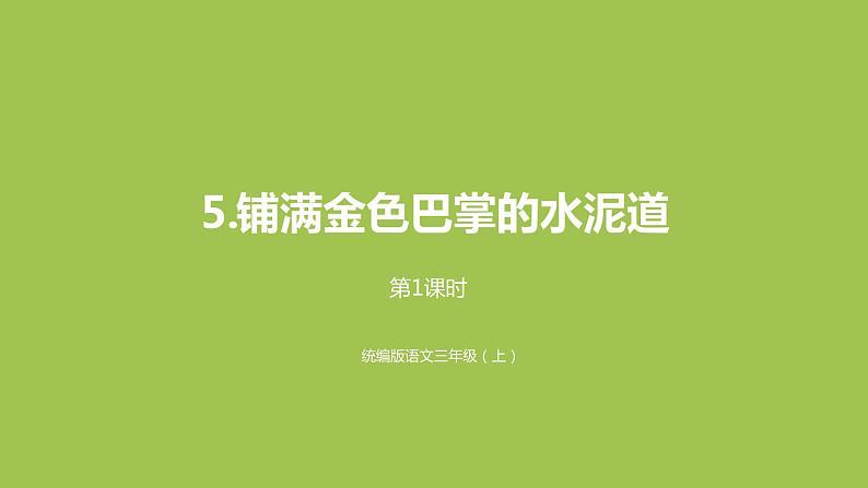 三年级语文上册 5铺满金色巴掌的水泥路（第一课时）课件PPT第2页