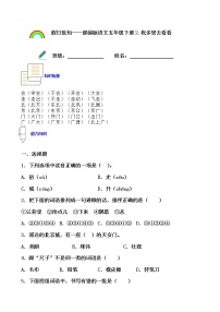 寒假提前学——部编版语文一年级下2.我多想去看看知识一点通及练习