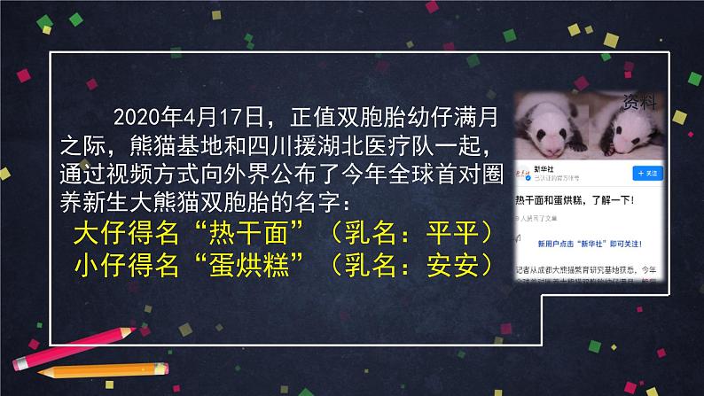 三年级语文（统编版）-习作-国宝大熊猫-ppt第4页