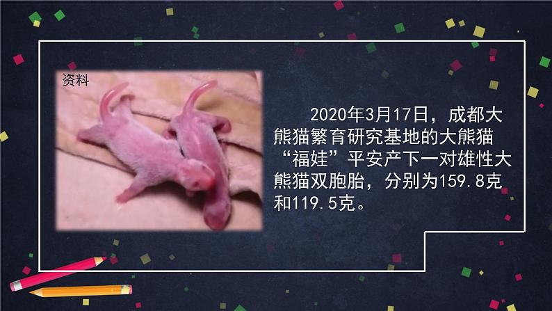 三年级语文（统编版）-习作-国宝大熊猫-ppt第5页