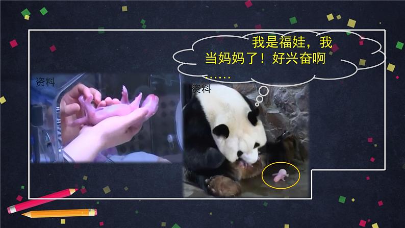 三年级语文（统编版）-习作-国宝大熊猫-ppt第6页