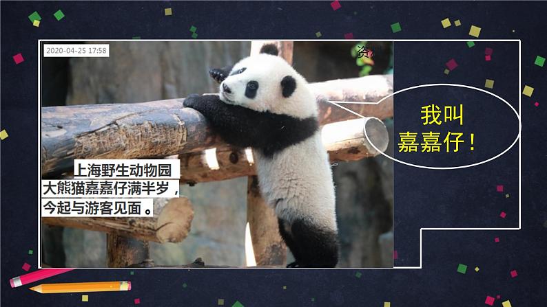 三年级语文（统编版）-习作-国宝大熊猫-ppt第8页