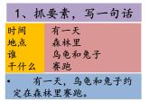 14、《龟兔赛跑》课件PPT