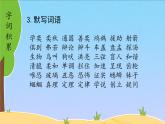 人教部编版 语文 六年级下册第五单元 复习课件