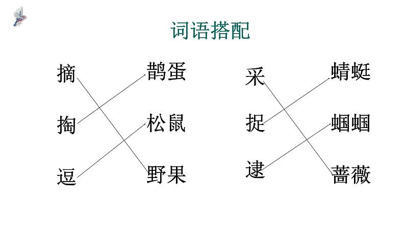 23祖先的摇篮课件PPT第8页