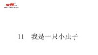 小学语文人教部编版二年级下册课文311 我是一只小虫子课堂教学课件ppt