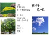 语文 园地二课件PPT