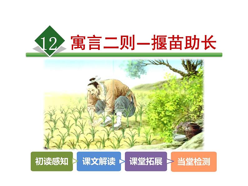 12.寓言二则—揠苗助长课件第2页