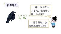 2020-2021学年13 乌鸦喝水教课ppt课件