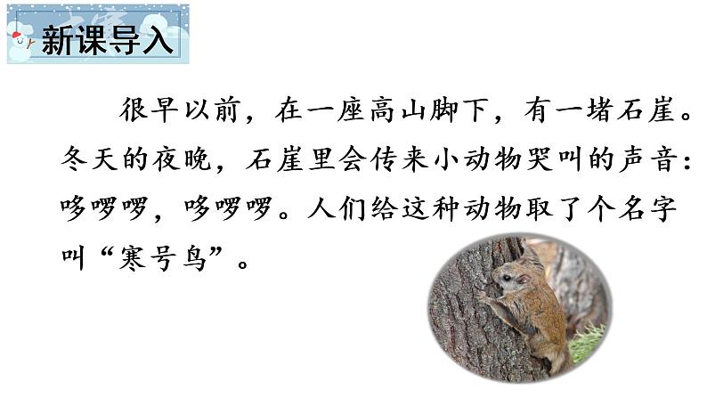 13 寒号鸟课件PPT02