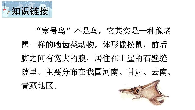 13 寒号鸟课件PPT03