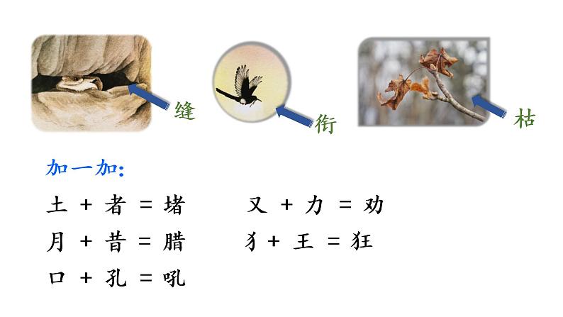 13 寒号鸟课件PPT06